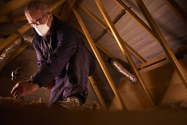 Best Fiberglass Insulation in Greenbriar, FL